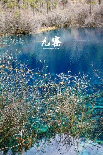 创金合信添福平衡养老目标三年FOF增聘冯瑞玲
